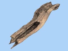 Tree Stump 1a - Seasonal