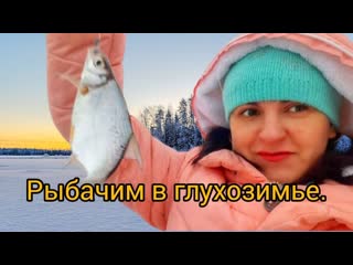 Глухозимье. РЫБНАДЗОР и Много ПЛОТВЫ.