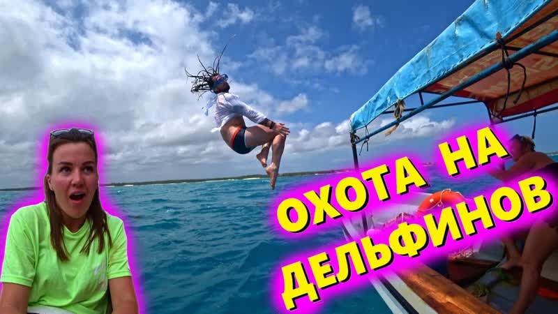 Приватный остров Мнемба, Скоростная охота на дельфинов,