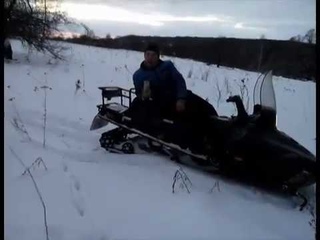 ИП Стариков и Облвет. Фэйковый приют в Тульской области по сути та же бойня