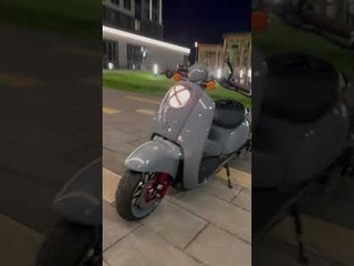 honda CUSTOM crea ruckus zoomer