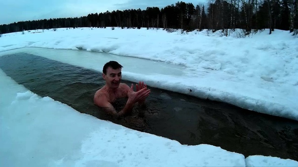 заплыв и дружеский привет МОРЖАМ СТОЛИЦЫ от моржей