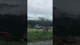 Утро туманное в горах на Алтае, в Городе Солнца МаЭД Звениград. Елена Курносова. Мир Универсологии