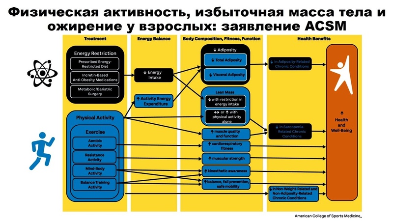 лекция: Физическая активность, избыточная масса тела и