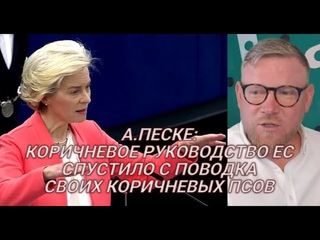 А.Песке: Речь фон дер Ляйен – речь достойной наследницы тех, кто правил Германией 90 лет назад