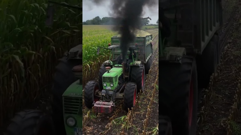 combine and beautiful scenery, combine, beautiful, texas,