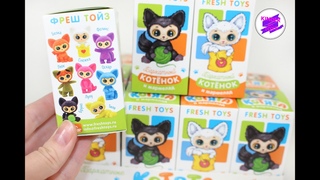 Котята в коробочках! Новинка от Фреш Тойс!