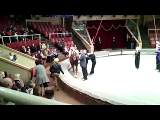 Сходила с пьяным мужем в цирк
