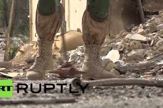 Syria: Sniffer dogs and sappers clear Palmyra of mines