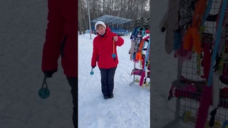Обзор игрушек для собак от инструктора по дрессировке Татьяны Шамановой