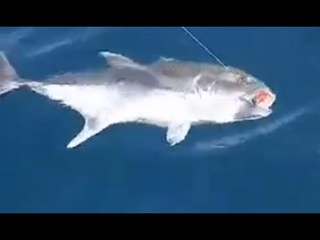 Ловля GT на попперы в Андаманском море (о. Пхукет) Big Game Fishing in Phuket - Часть 1 / Part 1