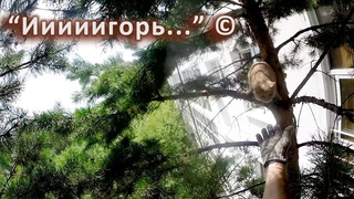 Игорь красавчик!