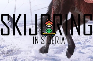 Скиджоринг с хаски и лошадьми / Skijoring with husky dogs and horses