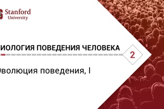 Биология поведения человека: Лекция #2. Эволюция поведения, I [Роберт Сапольски, 201...