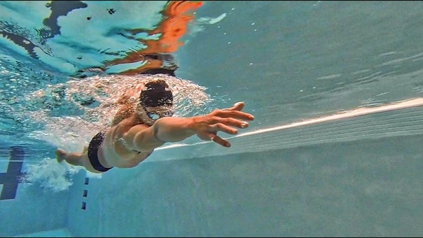 Freestyle Reach Full