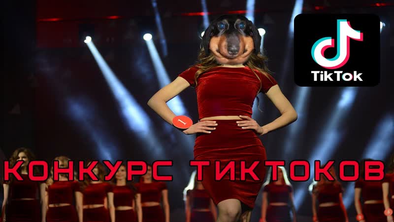 Конкурс Тиктоков ( Dawg, Alison,