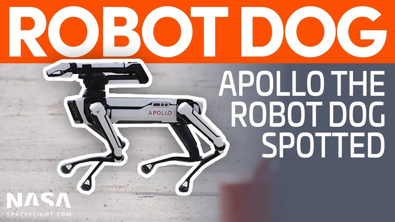 Apollo the Robot Dog Spotted at Starbase, Space X Boca
