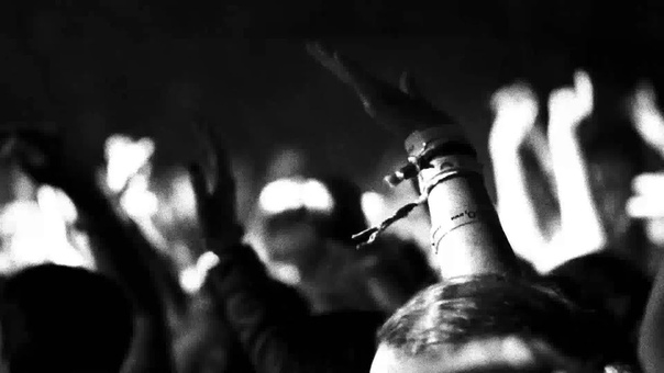 Video Trailer for Birdland by Simon