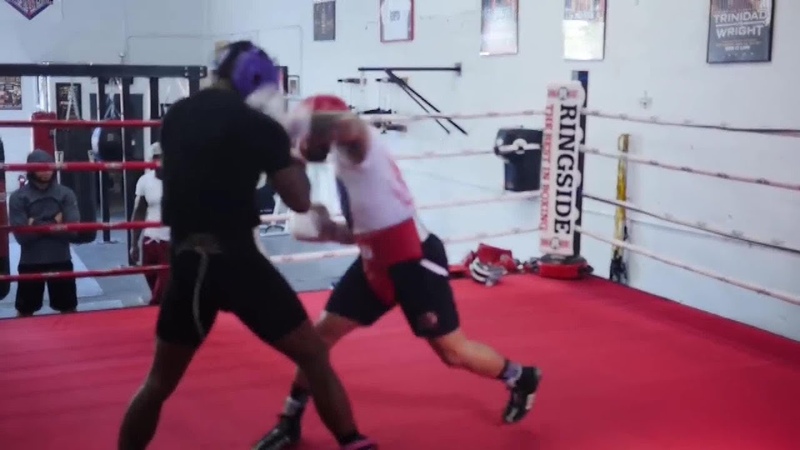 Gervonta Davis beating up sparring partners Compilation