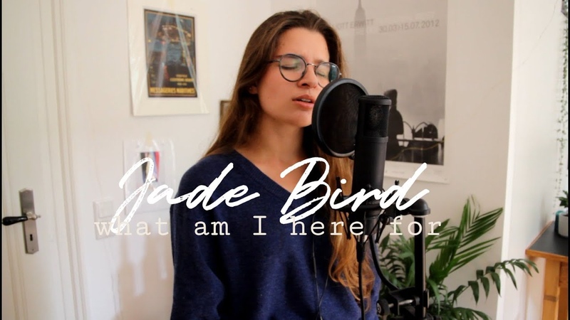 jade bird what am I here for, ,