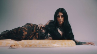 Lady XO - No Hook