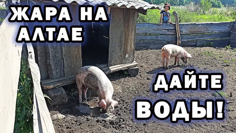Когда на Алтае стояла жара все спасались водой. Бассейн для