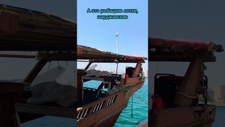 Что интересного в Шардже ОАЭ Рыбацкие лотки, набережная #шарджа #оаэ #эмираты #alexliba #shorts