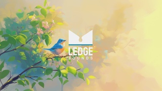 Smote - Bluebird