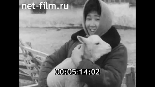 1965г. совхоз Кировский Калмыкия