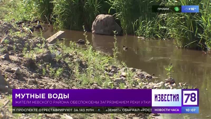 Мутные
