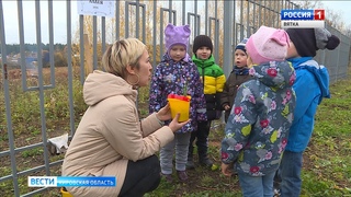 Детский сад в Чистых прудах присоединился к акции по посадке кедров (ГТРК Вятка)