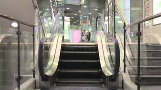The World's Longest Video of the World's Shortest Escalator