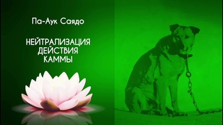 Па Аук Саядо  Действие каммы  Глава VI  Нейтрализация действия каммы