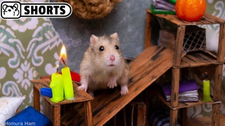 Hamster Escapes the Little Nightmares Maze on Halloween ep. 2 #Shorts  Homura Ham