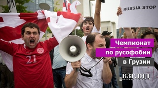«Кавказ без России». «Грузинскую мечту» одобрили в США