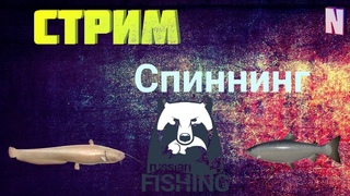 Русская рыбалка 4 Стрим🐬Волхов-Ахтуба-Тунгуска🐬Фарм на спин