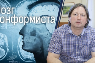 Мозг конформиста: почему мнение большинства очень важно для нас