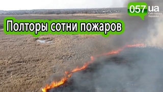 Массовые пожары из-за выжигания сухостоя на Харьковщине: есть пострадавший