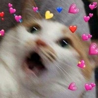 Андрей Глущук | Краснодар