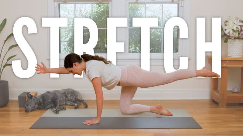 5 Minute Full Body Stretch, Total Body