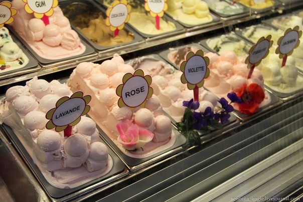 кафе мороженое "33 пингвина" в питере.