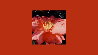VAMP TYPE BEAT - FLOWER - |KEN CARSON x PLAYBOI CARTI x MARIO JUDAH|
