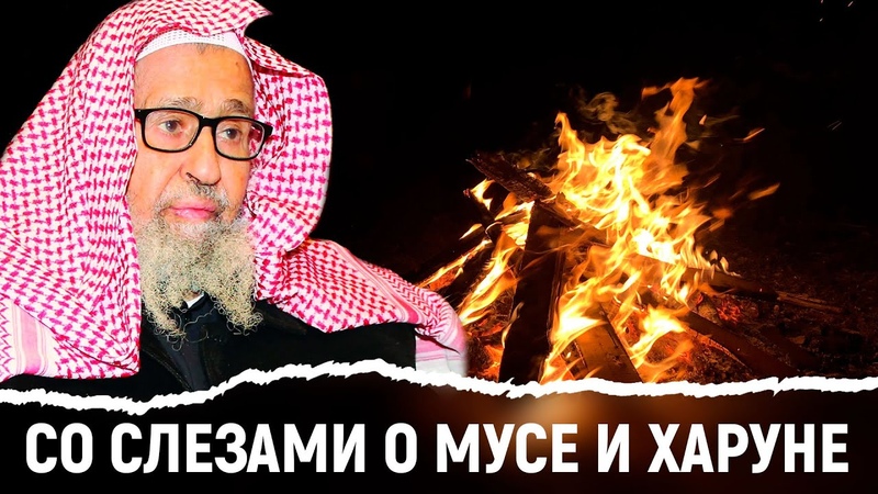 Эмоциональный рассказ о Мусе и Харуне, Шейх