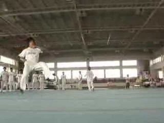 Korea Martial Arts Tricking
