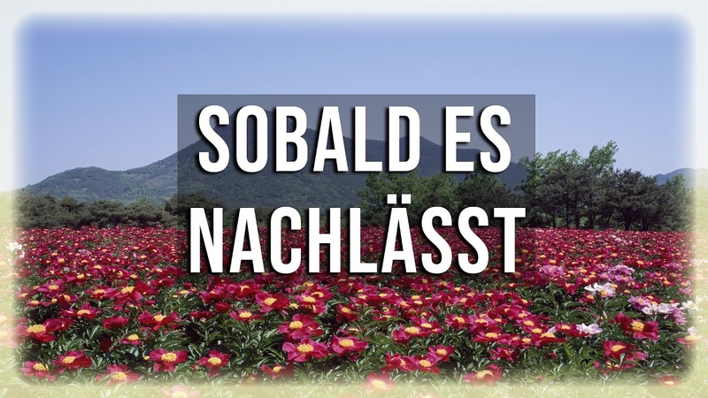 Sobald es nachlässt, bist du nicht mehr Sklave deines Denkens Eckhart