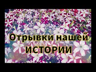Земля на рассаду | Кассеты на рассаду | Отрывки нашеи истории | Ящики для тюльпана | Сажаем тюльпан