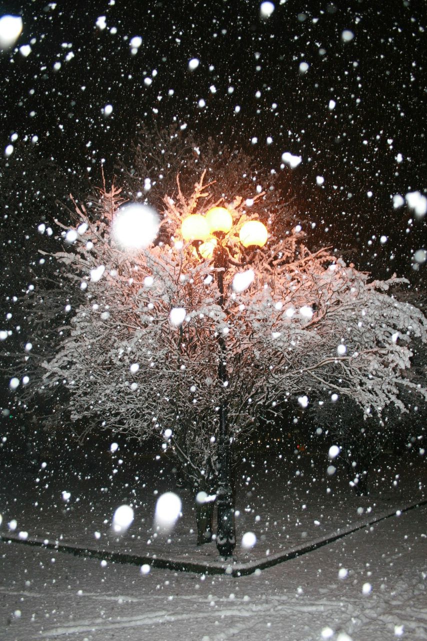 Марианна Казанцева | Севастополь