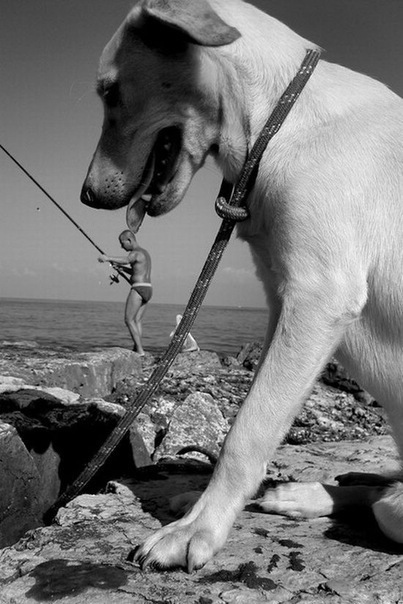 №102, Яна Портная, Fuengirola №102, Яна Портная, Fuengirola