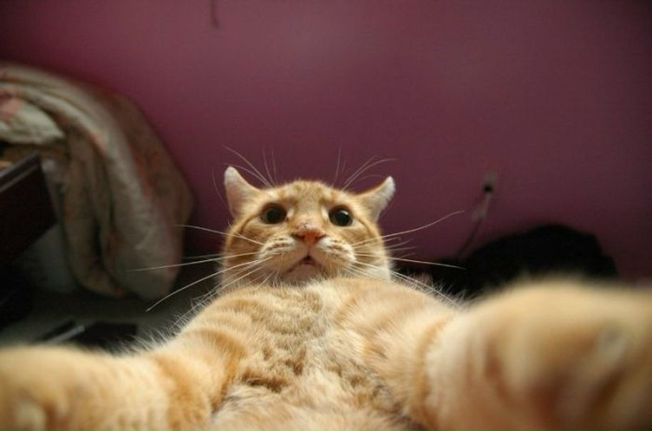 №28, Воффка Чиркин, Санкт-Петербург №28, Воффка Чиркин, Санкт-Петербург