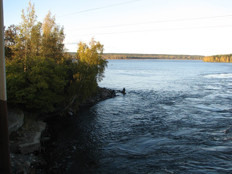 Дмитрий Марютин | Санкт-Петербург